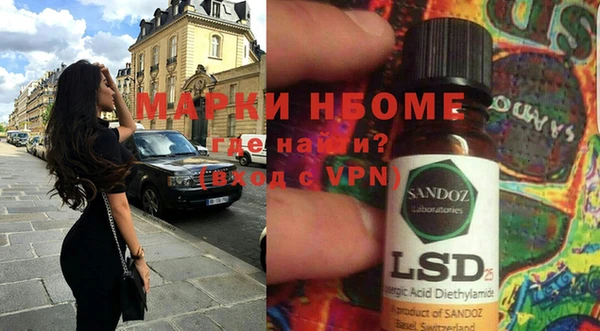 хмурый Ельня