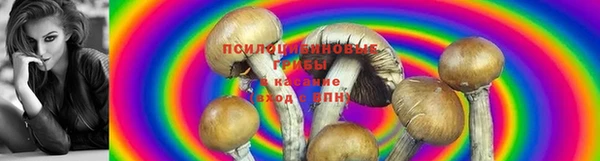 бутират Сафоново