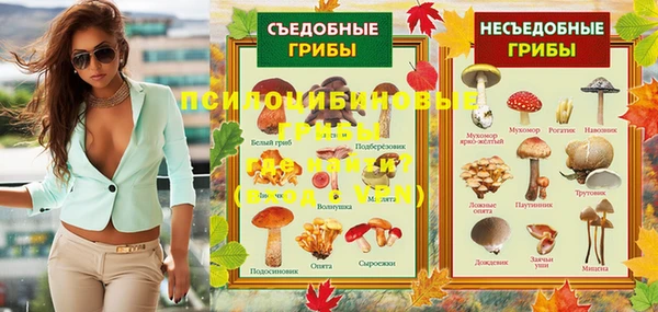 стафф Балахна
